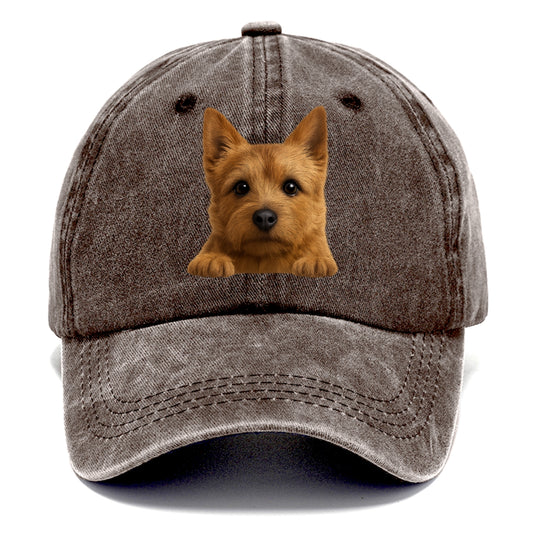 Norwich Terrier  - Classic Cap - Brown
