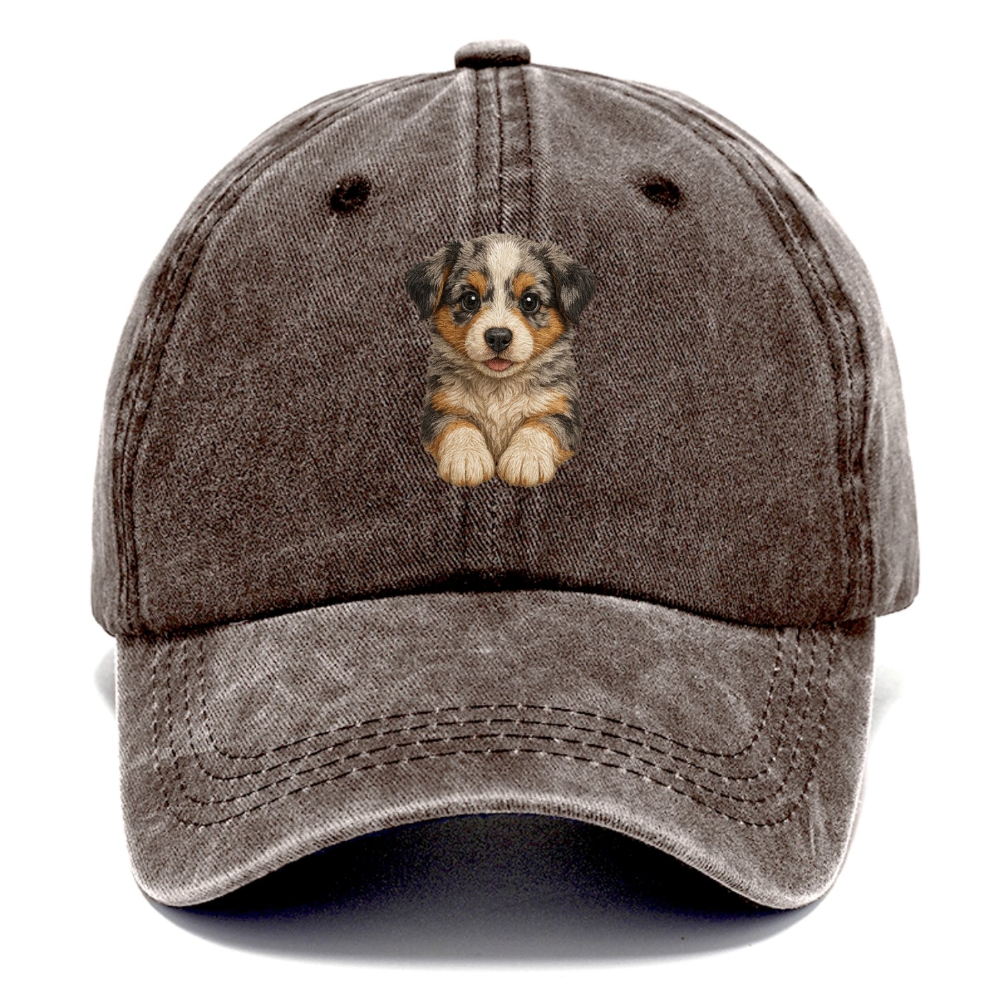 Baby Australian Shepherd Puppy - merle coat, bright eyes, fluffy, front-facing, smart - Classic Cap - Brown