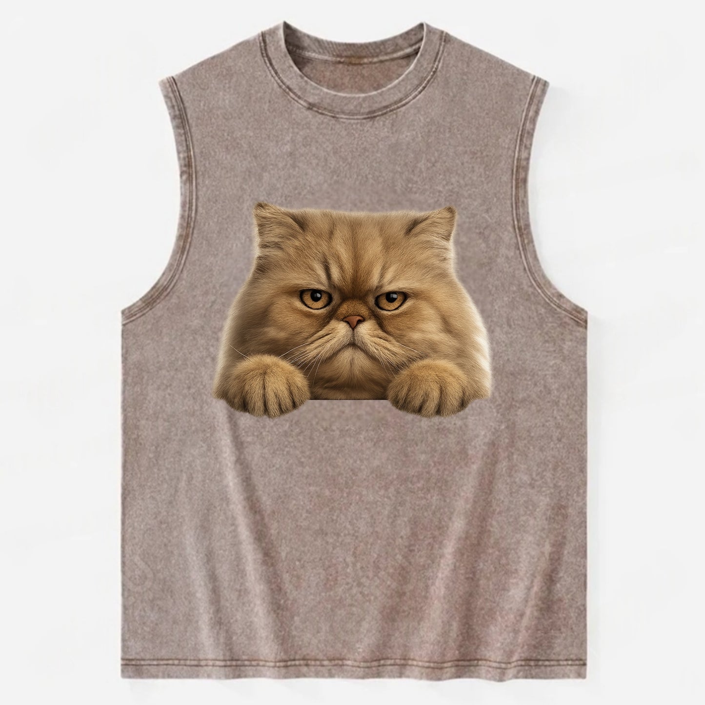 Persian Cat  - Vintage Washed Tank - Brown