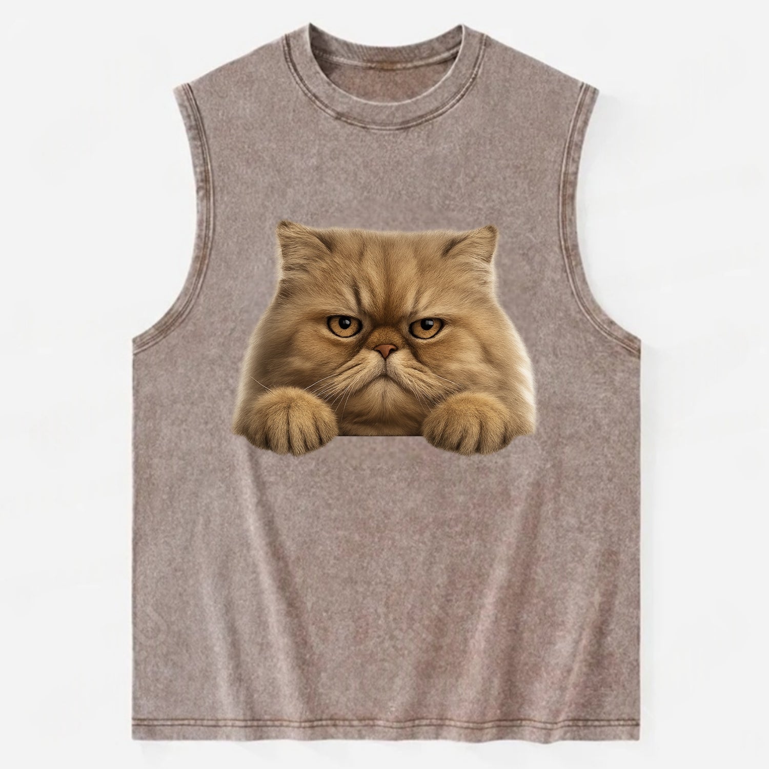 Persian Cat  - Vintage Washed Tank - Brown
