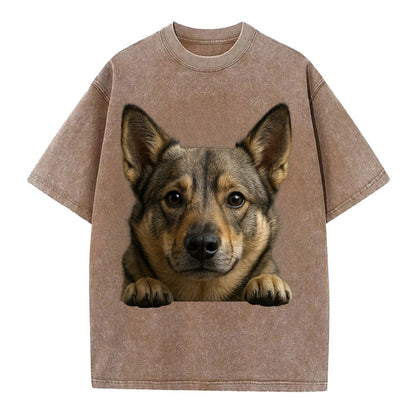 Swedish Vallhund  - Vintage T-shirt - Brown