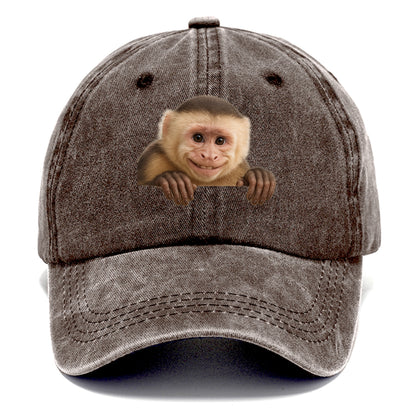 Capuchin Monkey  - Classic Cap - Brown