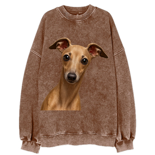 Italian Greyhound  - Vintage Sweatshirt - Brown