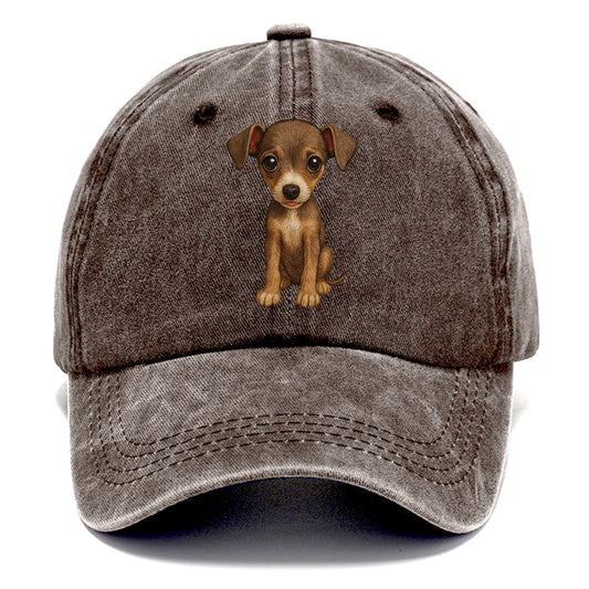 Baby Italian Greyhound Puppy - sleek tiny body, long legs, gentle eyes, front-facing, - Classic Cap - Brown