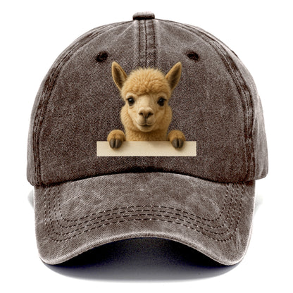 Alpaca  - Classic Cap - Brown