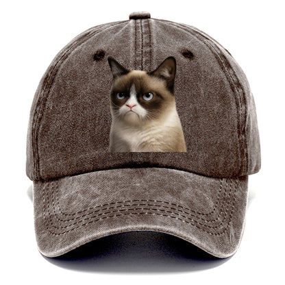 Grumpy Cat Expression  - Classic Cap - Brown