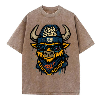 Logan Aggie wearing Utah State beanie with USU patch - Vintage T-shirt - Brown