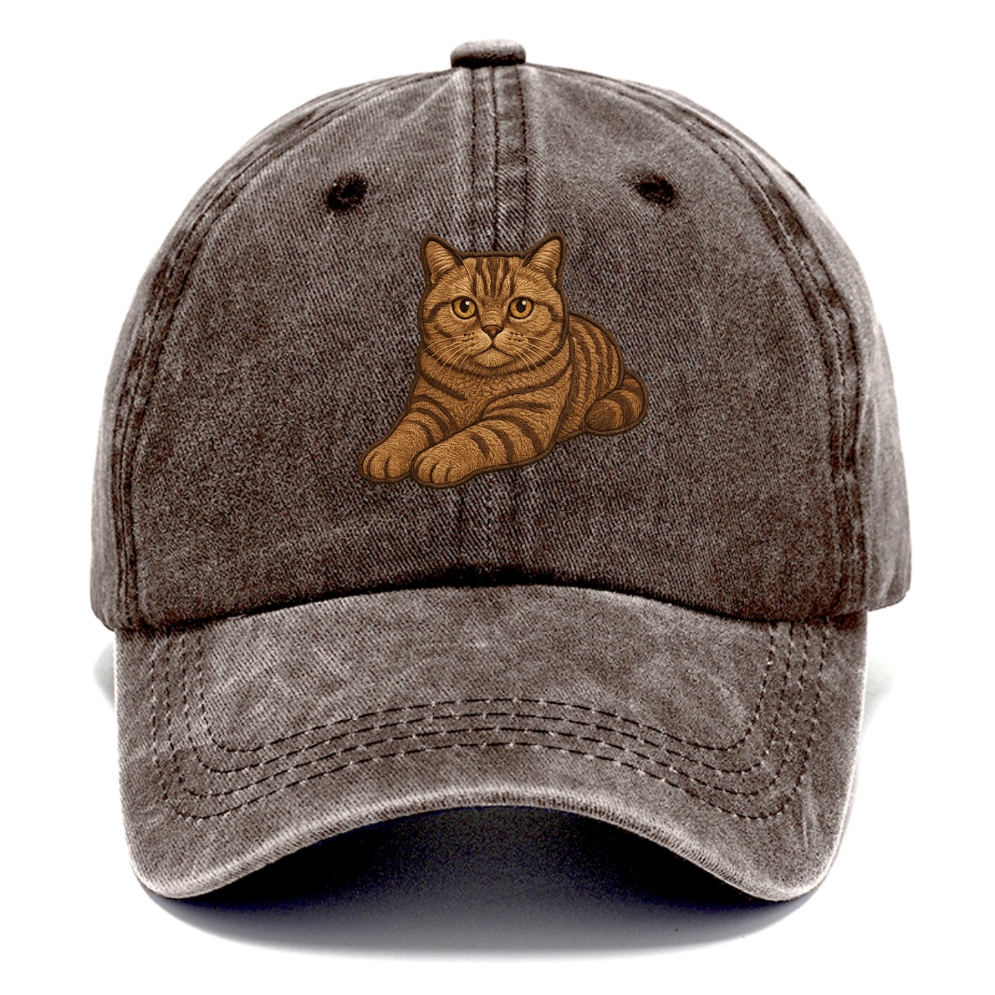 British Shorthair  relaxed lying down wi Classic Cap - Brown