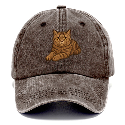 British Shorthair  relaxed lying down wi Classic Cap - Brown