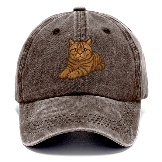 British Shorthair  relaxed lying down wi Classic Cap - Brown