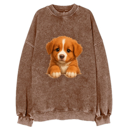 Nova Scotia Duck Tolling Retriever  - Vi - Vintage Sweatshirt - Brown