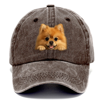 Pomeranian  - Classic Cap - Brown