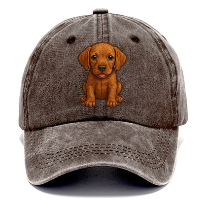 Baby Vizsla Puppy - golden rust coat, soulful eyes, athletic build, front-facing, - Classic Cap - Brown