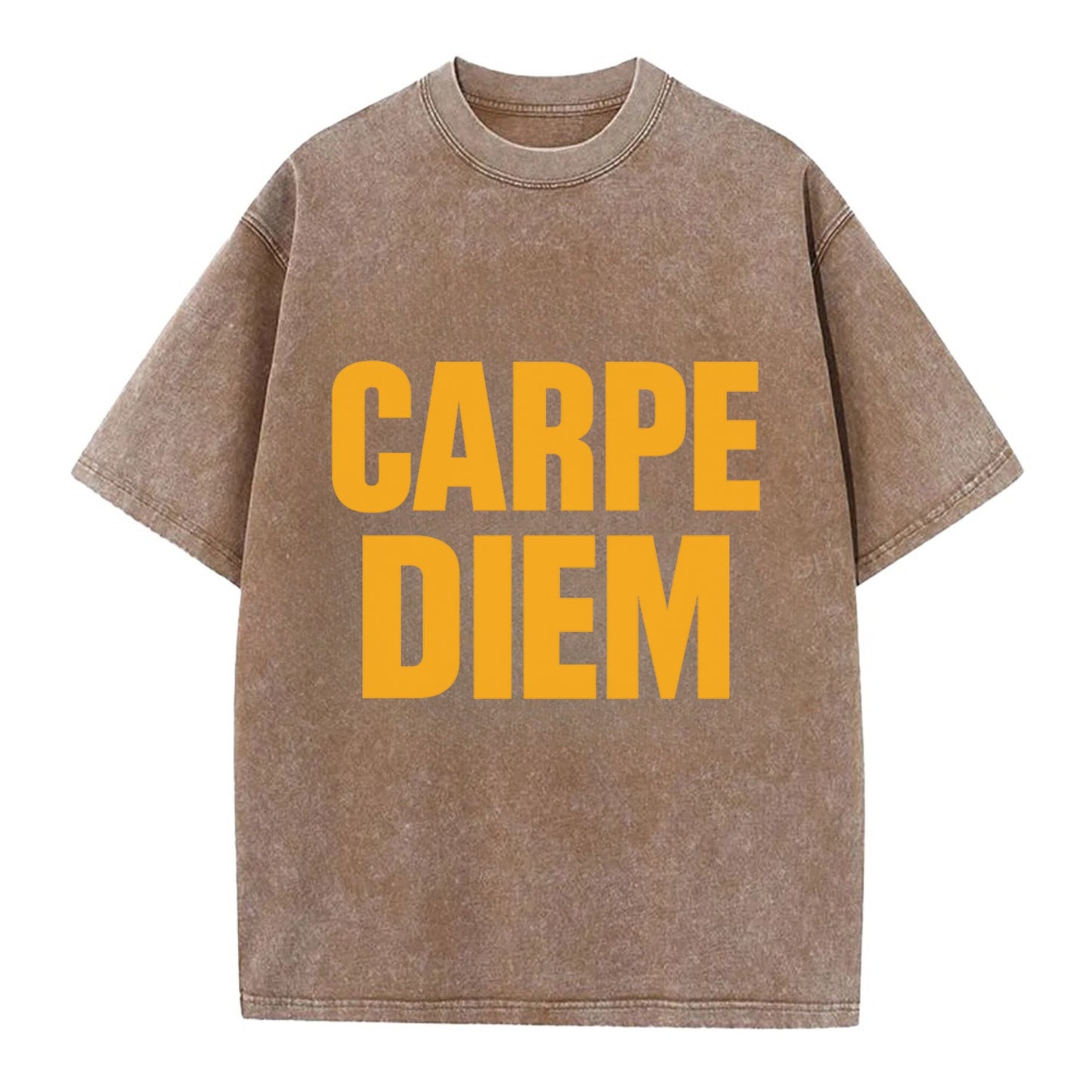 Bold typography design - "CARPE DIEM" - seize the day - Vintage T-shirt - Brown