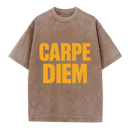 Bold typography design - "CARPE DIEM" - seize the day - Vintage T-shirt - Brown