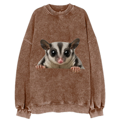 Sugar Glider  - Vintage Sweatshirt - Brown
