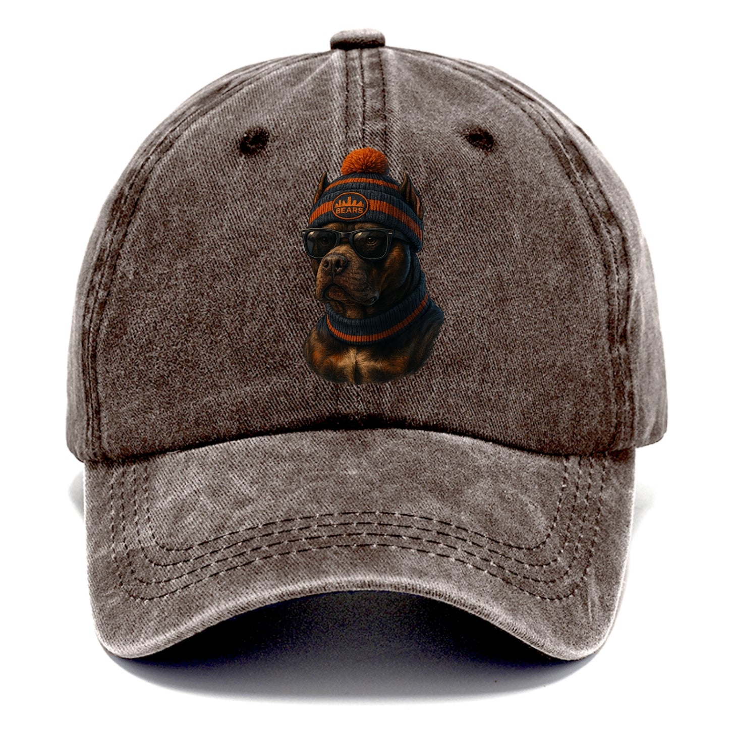 Chicago Pitbull wearing Bears beanie with skyline patch and wayfarer sunglasses - Classic Cap - Brown