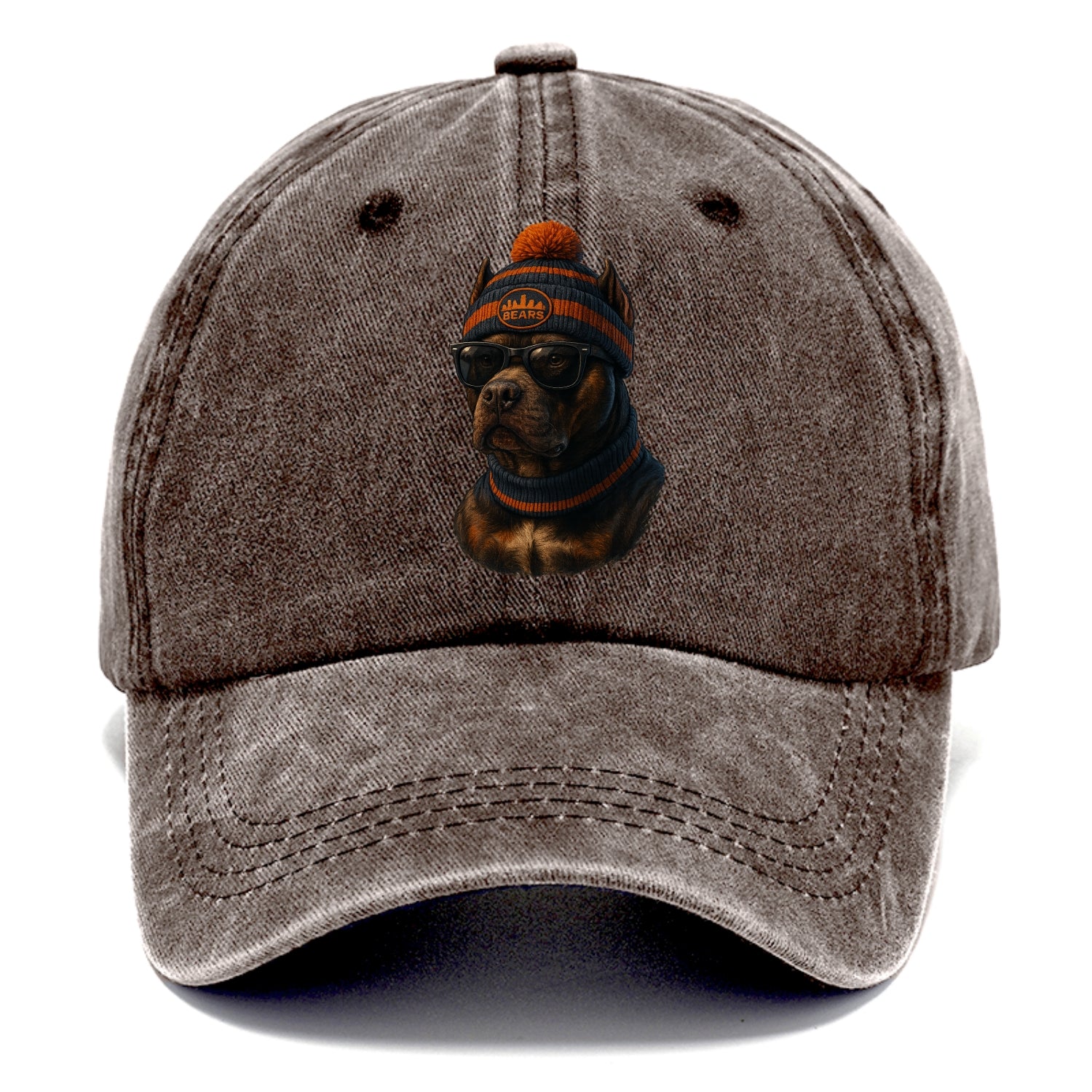Chicago Pitbull wearing Bears beanie with skyline patch and wayfarer sunglasses - Classic Cap - Brown