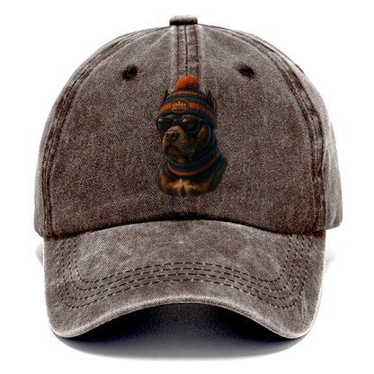 Chicago Pitbull wearing Bears beanie with skyline patch and wayfarer sunglasses - Classic Cap - Brown