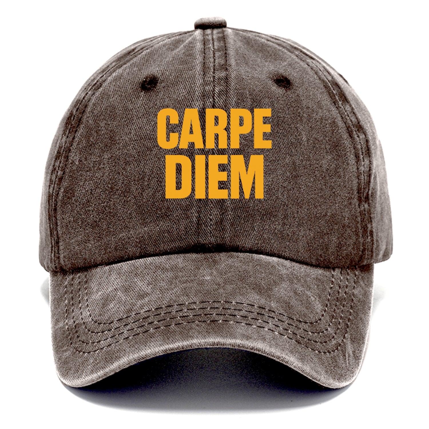 Bold typography design - "CARPE DIEM" - seize the day - Classic Cap - Brown