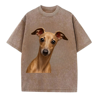 Italian Greyhound  - Vintage T-shirt - Brown