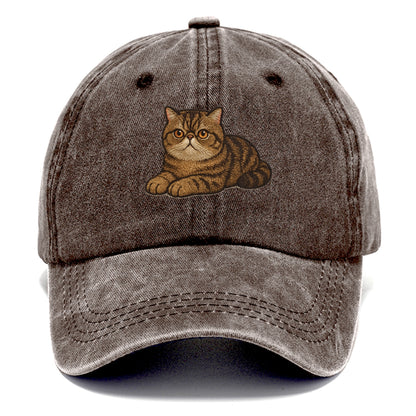 Exotic Shorthair  relaxed lying down wit Classic Cap - Brown