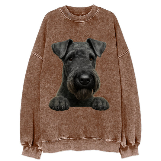 Kerry Blue Terrier  - Vintage Sweatshirt - Brown