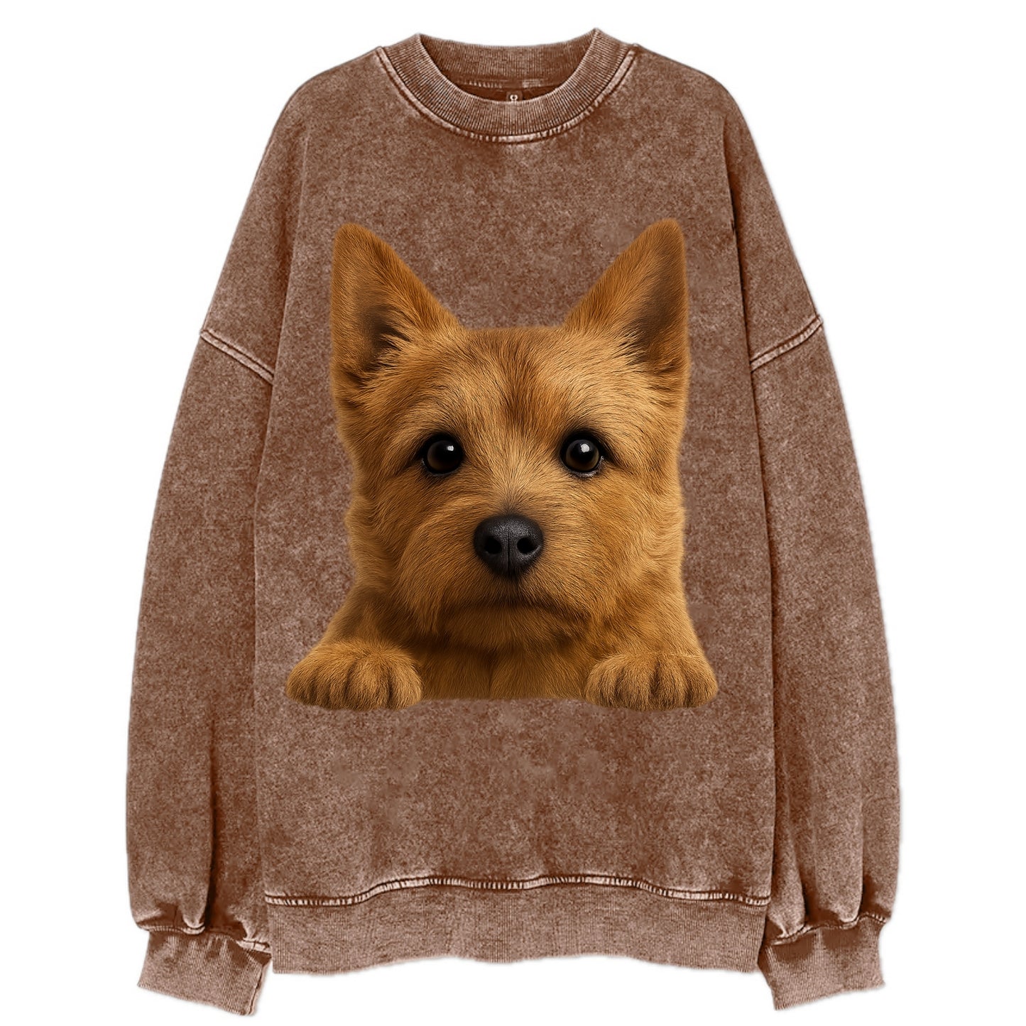 Norwich Terrier  - Vintage Sweatshirt - Brown