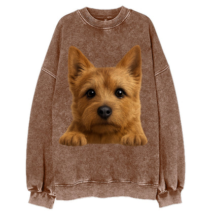 Norwich Terrier  - Vintage Sweatshirt - Brown