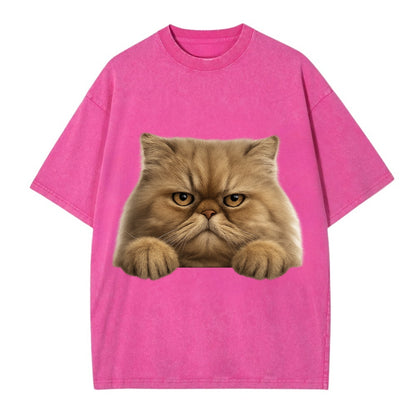 Persian Cat  - Vintage T-shirt - Dusty Rose(Rose)