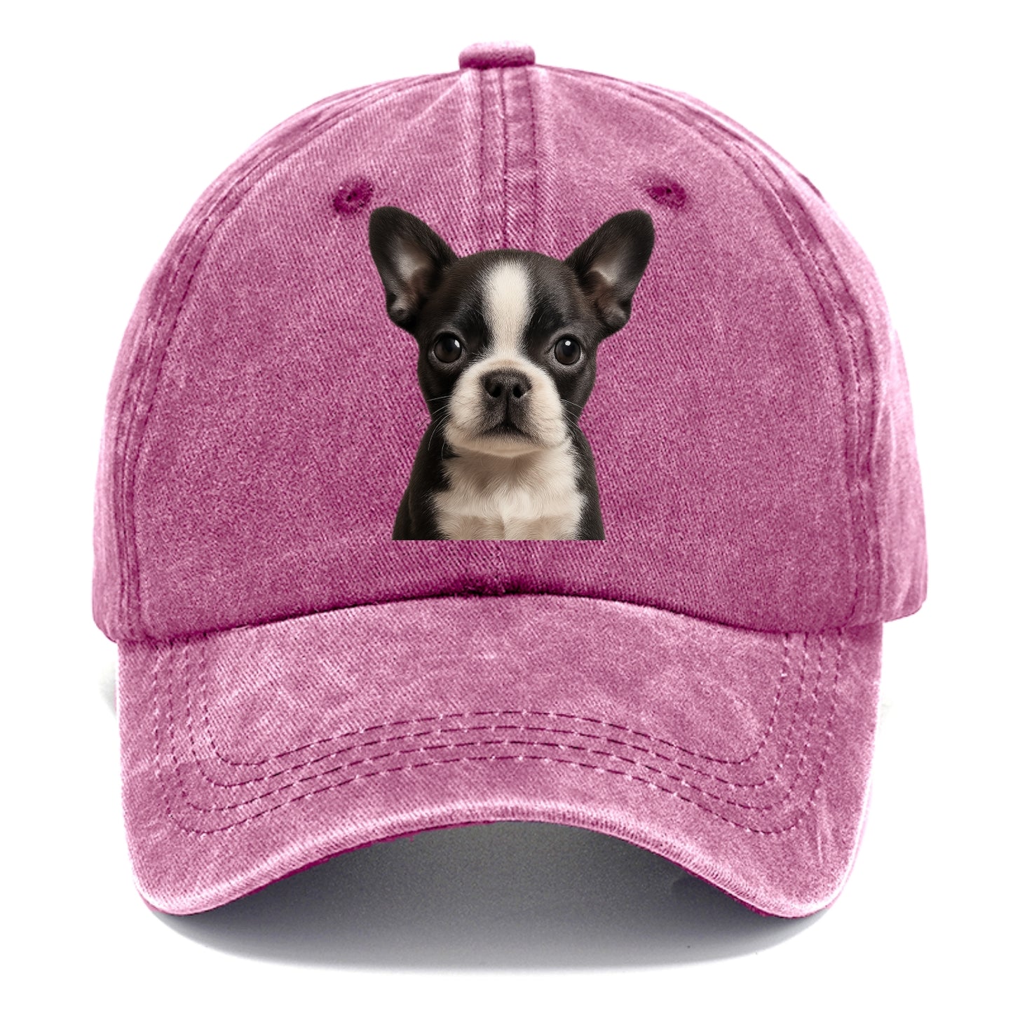 Baby Boston Terrier Puppy - tuxedo markings, big round eyes, bat ears, front-facing, - Classic Cap - Dusty Rose(Rose)