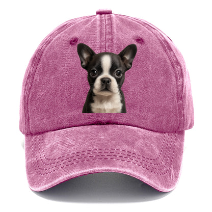 Baby Boston Terrier Puppy - tuxedo markings, big round eyes, bat ears, front-facing, - Classic Cap - Dusty Rose(Rose)
