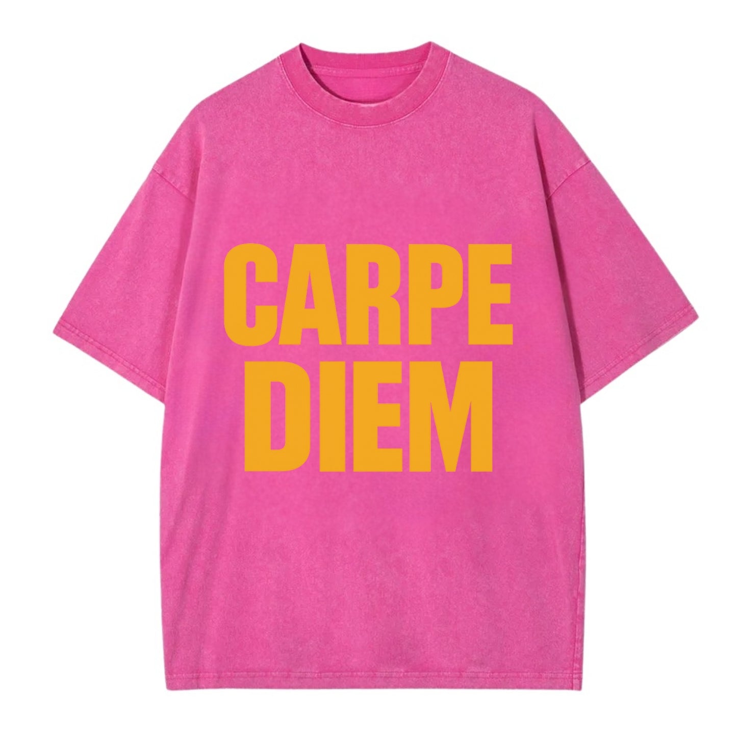 Bold typography design - "CARPE DIEM" - seize the day - Vintage T-shirt - Dusty Rose(Rose)