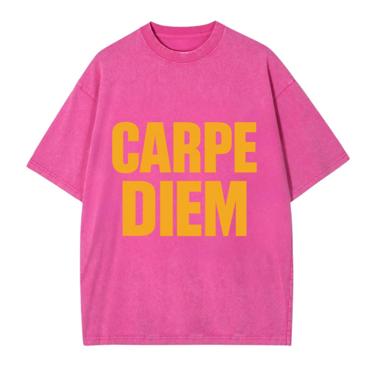 Bold typography design - "CARPE DIEM" - seize the day - Vintage T-shirt - Dusty Rose(Rose)