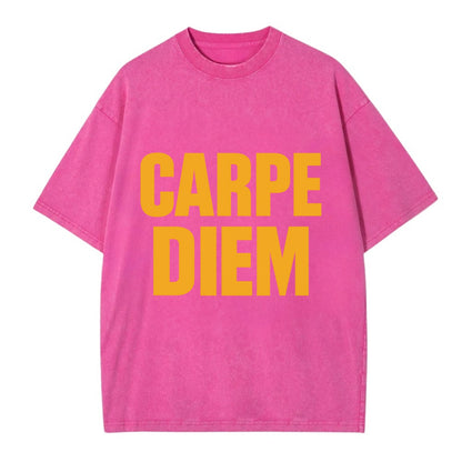 Bold typography design - "CARPE DIEM" - seize the day - Vintage T-shirt - Dusty Rose(Rose)