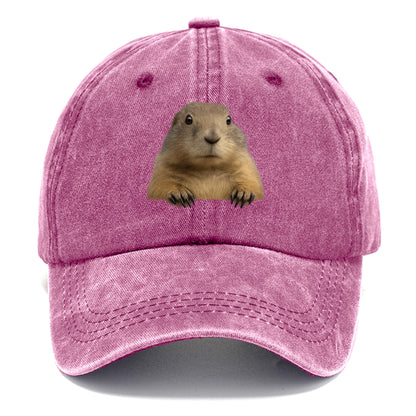 Prairie Dog  - Classic Cap - Dusty Rose(Rose)