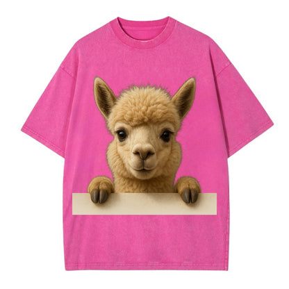 Alpaca  - Vintage T-shirt - Dusty Rose(Rose)
