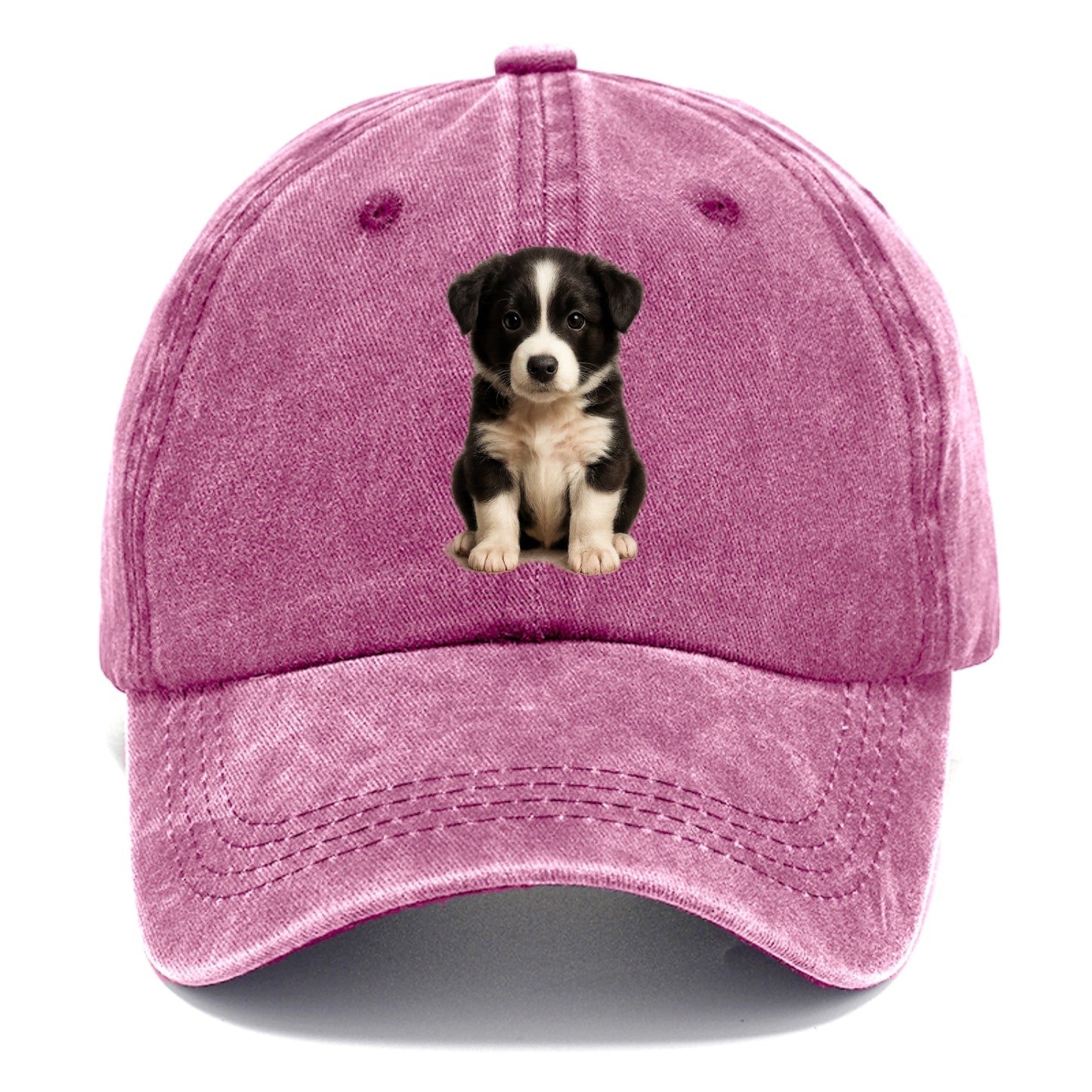 Baby Border Collie Puppy - black and white, intense smart eyes, athletic build, - Classic Cap - Dusty Rose(Rose)