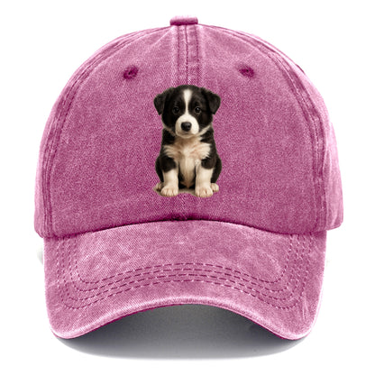 Baby Border Collie Puppy - black and white, intense smart eyes, athletic build, - Classic Cap - Dusty Rose(Rose)