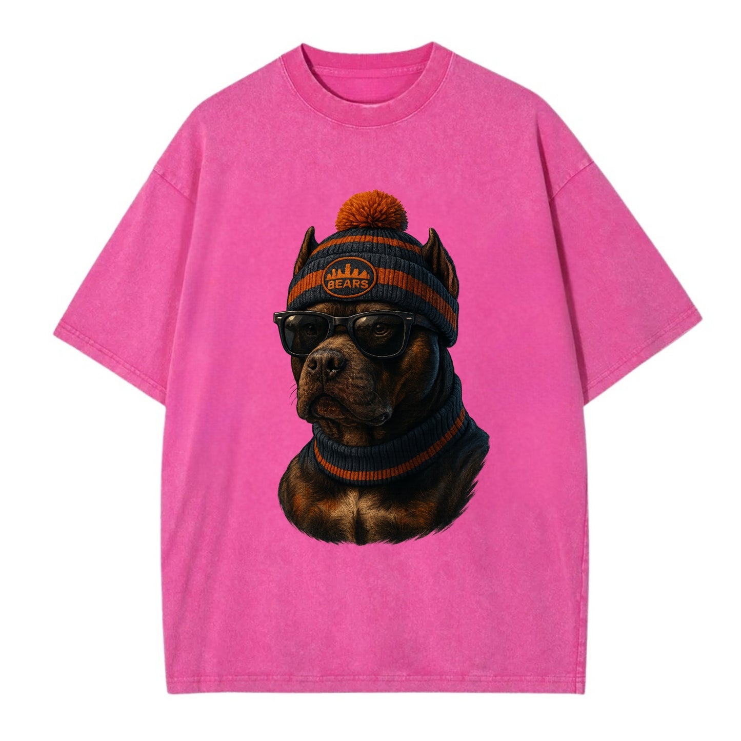Chicago Pitbull wearing Bears beanie with skyline patch and wayfarer sunglasses - Vintage T-shirt - Dusty Rose(Rose)