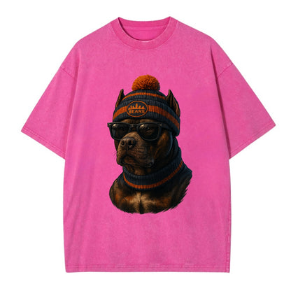 Chicago Pitbull wearing Bears beanie with skyline patch and wayfarer sunglasses - Vintage T-shirt - Dusty Rose(Rose)