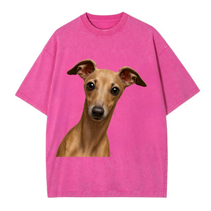 Italian Greyhound  - Vintage T-shirt - Dusty Rose(Rose)