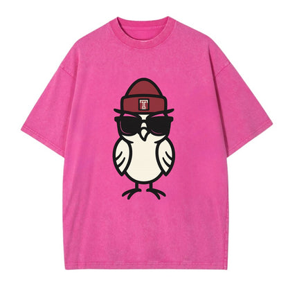 Philadelphia Owl wearing Temple beanie with T patch - Vintage T-shirt - Dusty Rose(Rose)