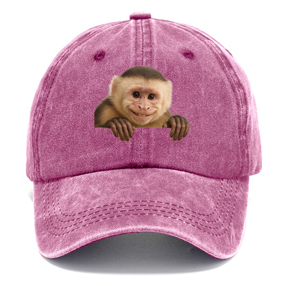 Capuchin Monkey  - Classic Cap - Dusty Rose(Rose)