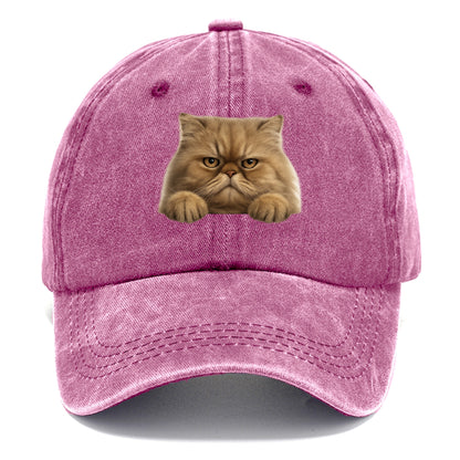 Persian Cat  - Classic Cap - Dusty Rose(Rose)