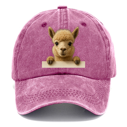 Alpaca  - Classic Cap - Dusty Rose(Rose)