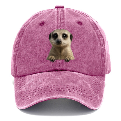Meerkat  - Classic Cap - Dusty Rose(Rose)