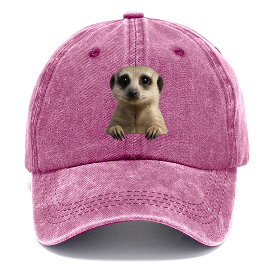 Meerkat  - Classic Cap - Dusty Rose(Rose)