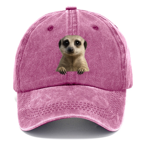 Meerkat  - Classic Cap