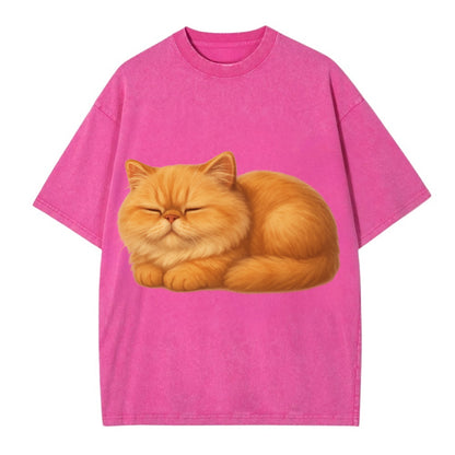 Napoleon  - Vintage T-shirt - Dusty Rose(Rose)